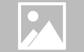 东营网站排版建设（网站排版设计）
